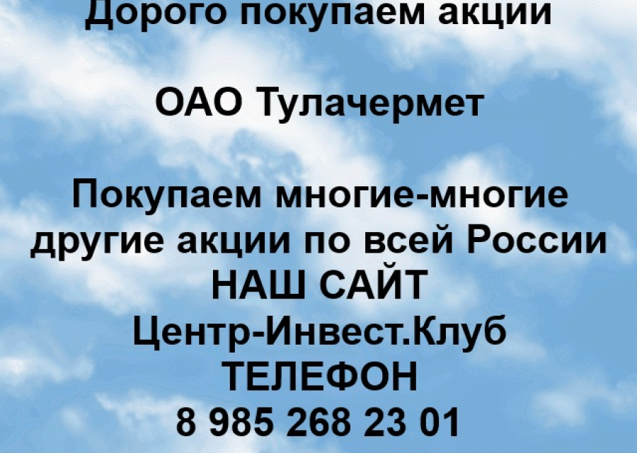 Покупка акций ОАО Тулачермет